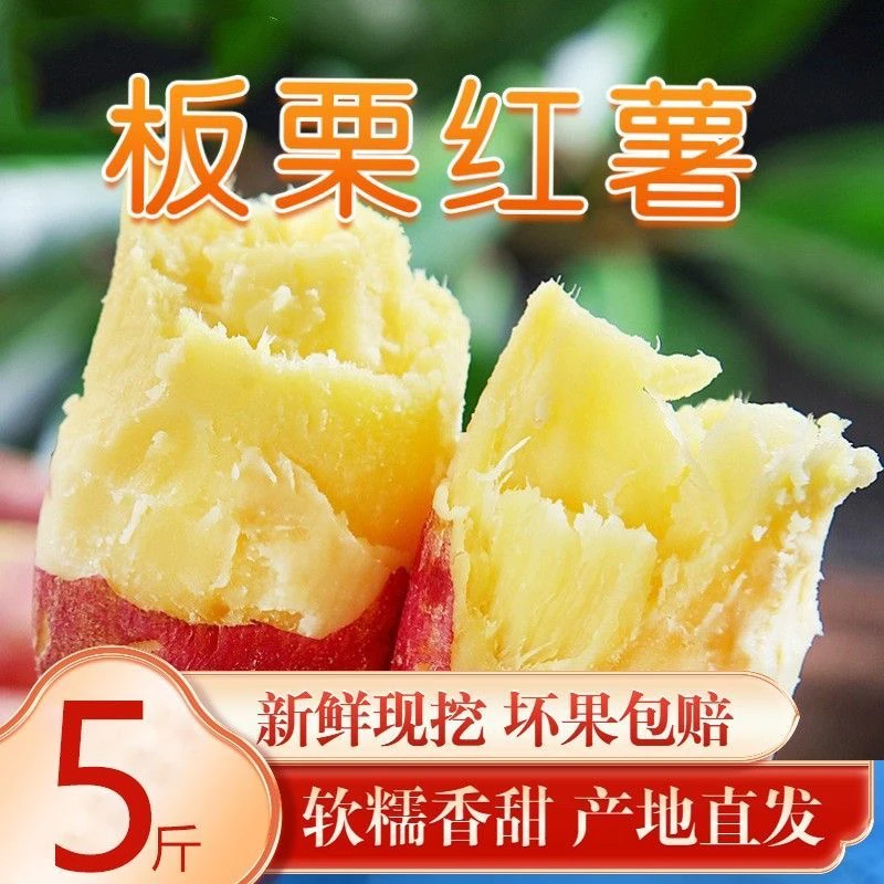 陕西板栗红薯 粉糯香甜 美味甘甜皮薄新鲜