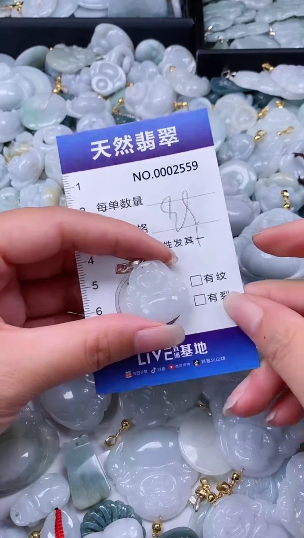 【闪购商品】翡翠颈饰未镶嵌多样性发货拍一发一0000BFG