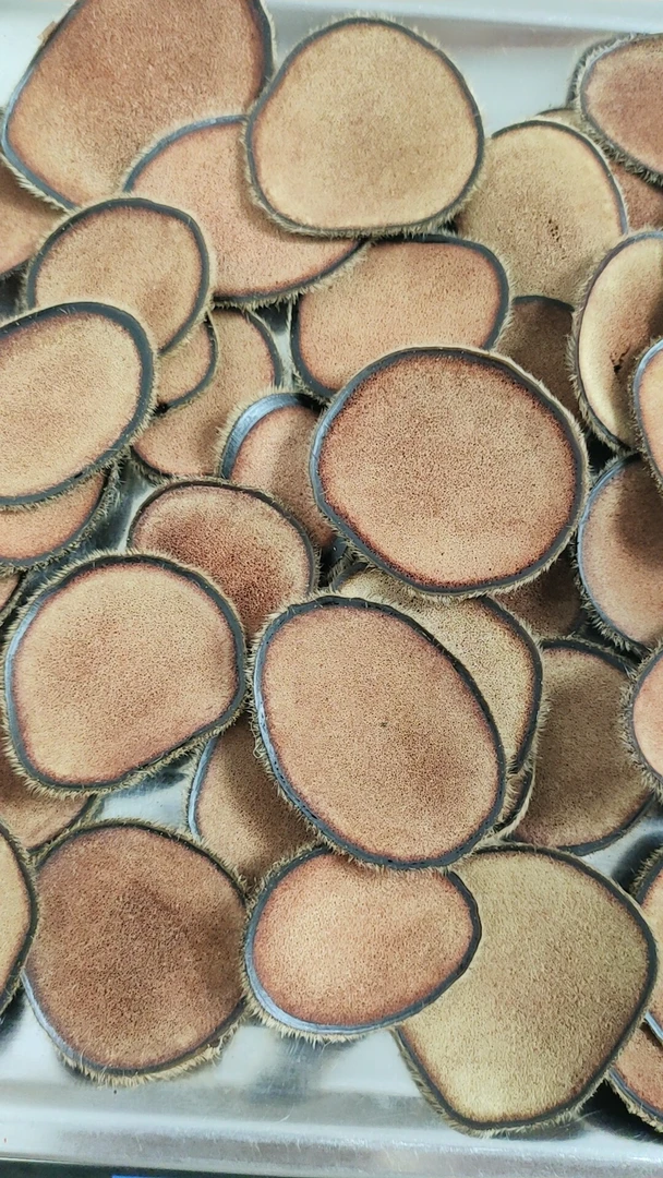 梅花鹿特粉片(黄粉片，白粉片过度段)，带茸毛，蜂窝细腻