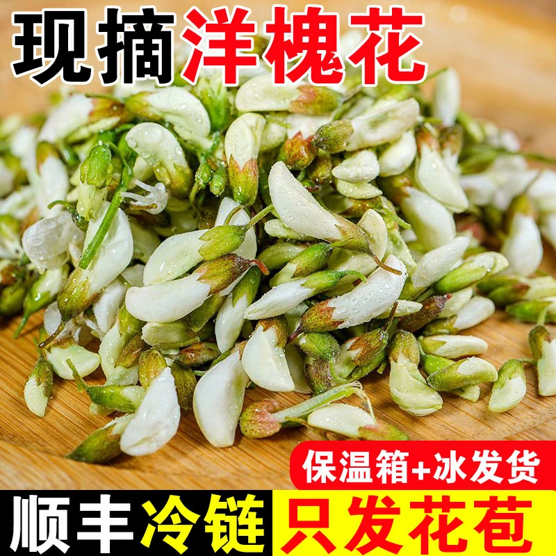 顺丰包邮2024现摘新鲜洋槐花杨槐花苞花骨朵槐米应季天然野生野菜
