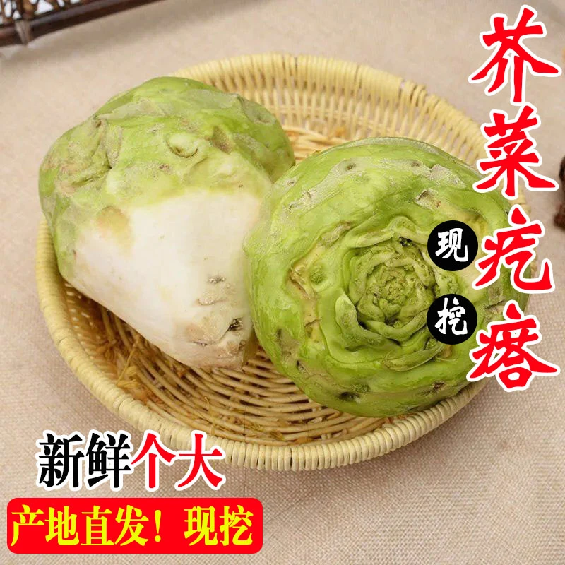 芥菜疙瘩新鲜现挖包邮3-9斤 农家蔬菜腌制咸菜东北包心大头菜嘎子