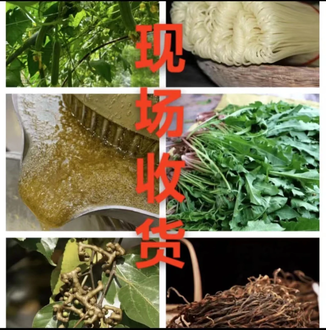 现场称重东北农产品