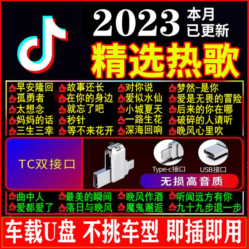高品质Type-C双接口汽车载u盘无损高音质抖音热门歌曲2023新款USB