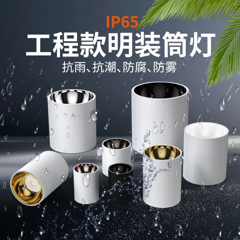 户外室外店铺门头阳台露台酒店雨棚吸顶防雾射灯led明装防水筒灯