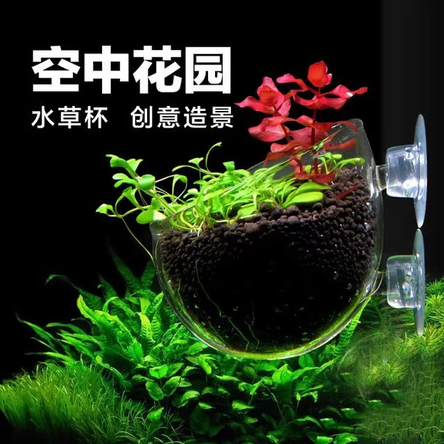 水草饲育造景盆 水晶玻璃双吸盘水草鱼缸水族造景