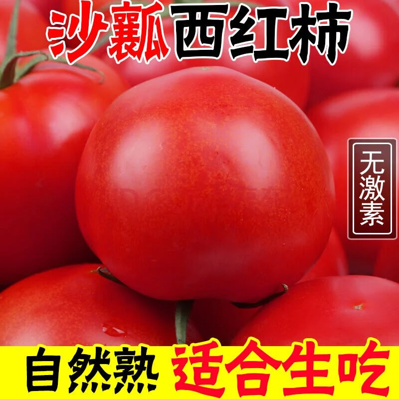【诗橙诗意】攀枝花沙瓤西红柿5斤大果10-16个