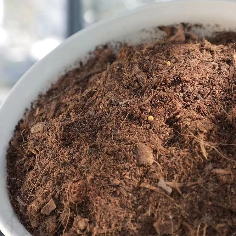 自配营养土5斤草莓专用