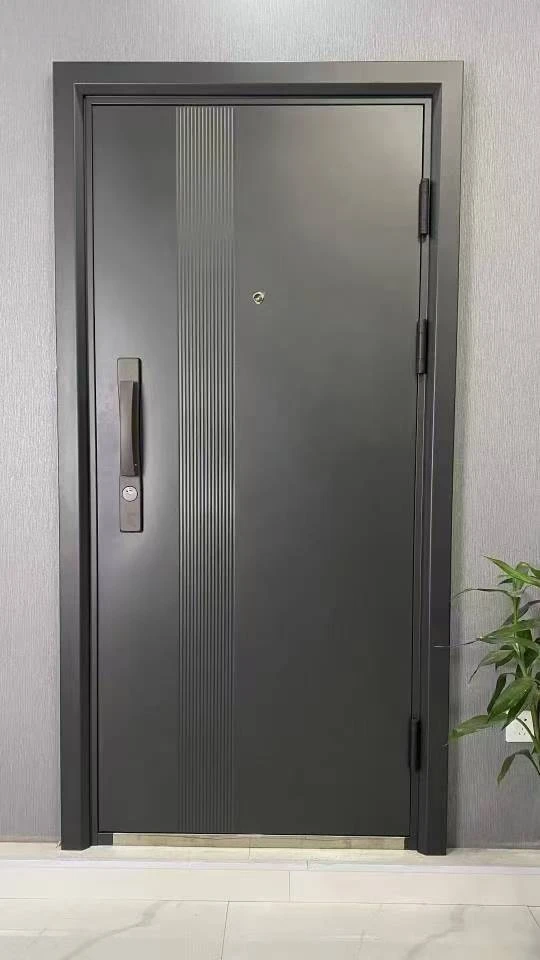 入户防盗门，安全门