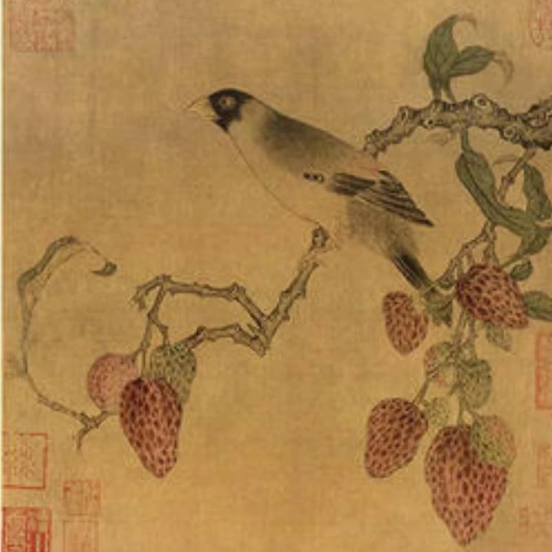 《蜡嘴荔枝图》纸本~工笔宋画课