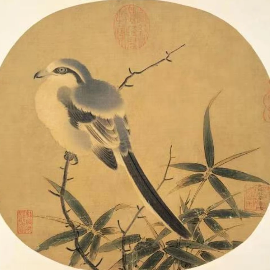 《竹鸠图》绢本石色~工笔国画宋画课