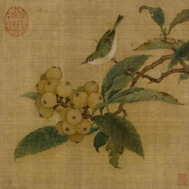 工笔国画纸本宋画《枇杷绣眼图》课