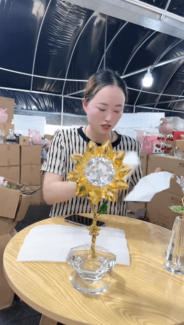 【闪购商品】向日葵