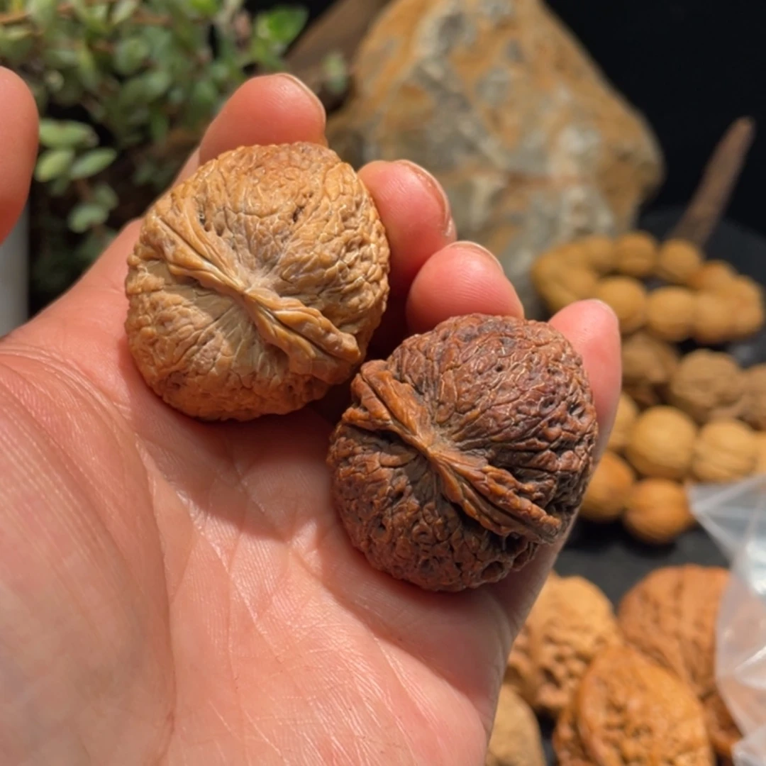 【闪购商品】文玩核桃把件螺****。15
