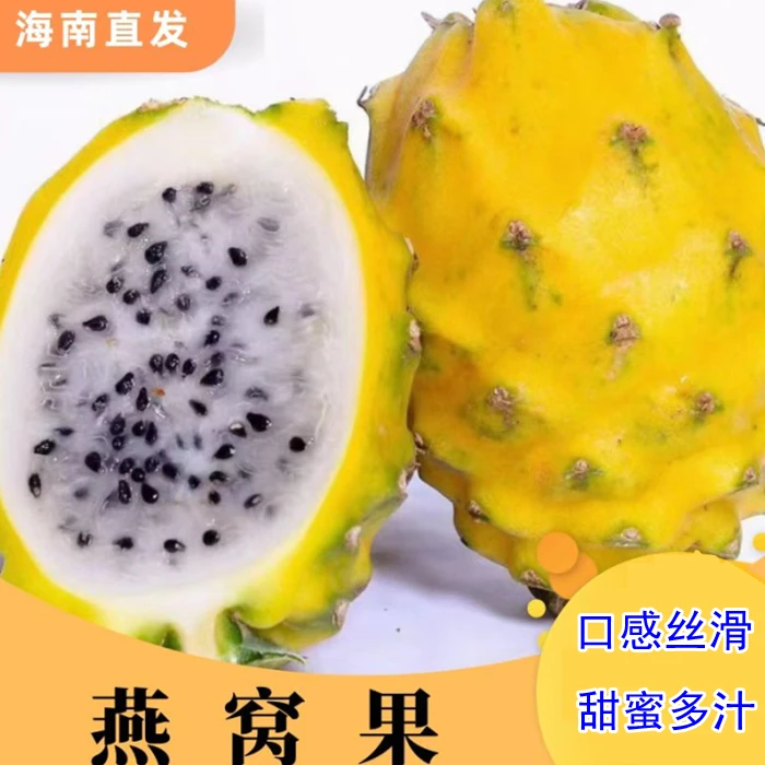 海南燕窝果/多汁麒麟果/规格150-350g空运包邮香甜礼盒装新鲜营养
