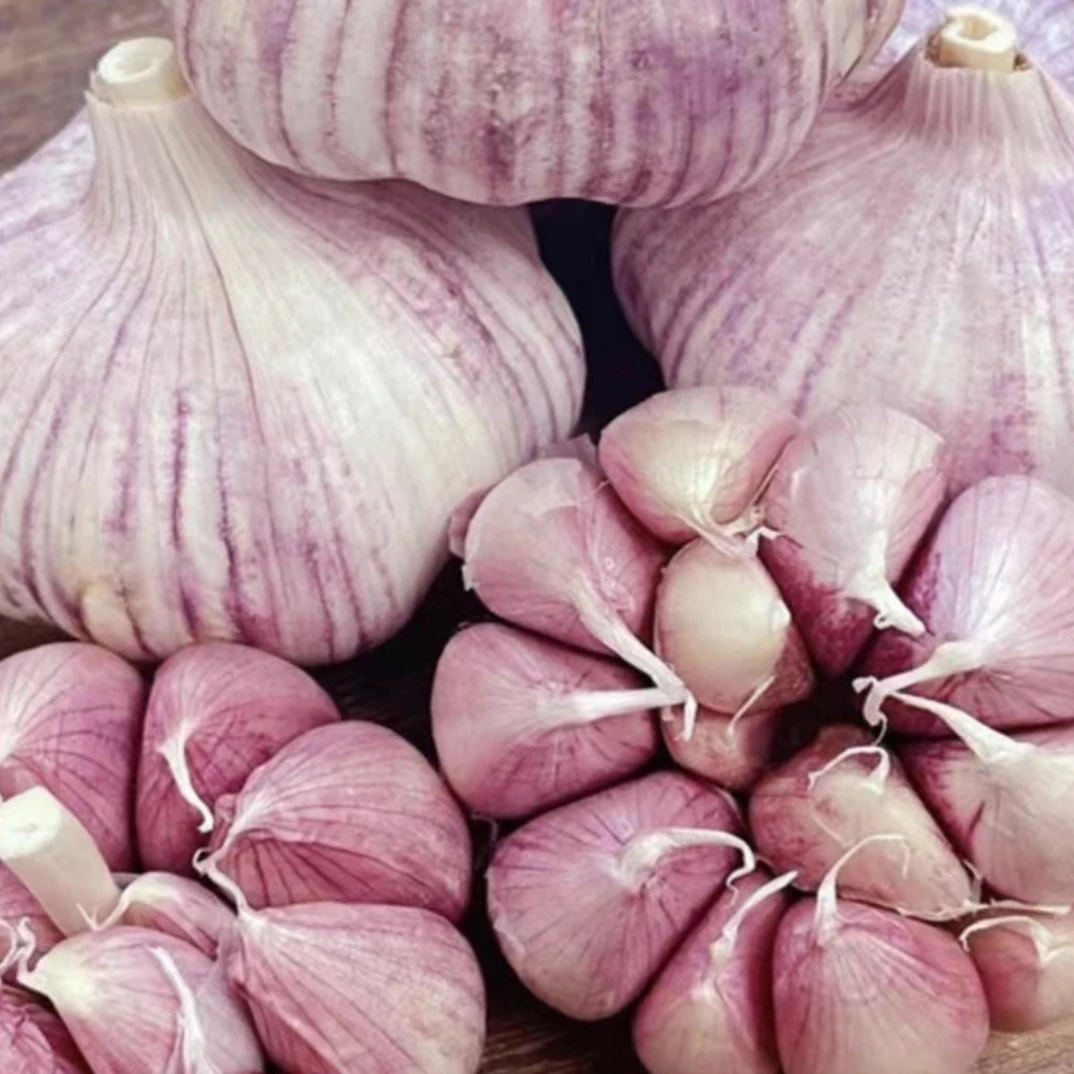 贵州高山大蒜新鲜红皮香蒜大蒜子