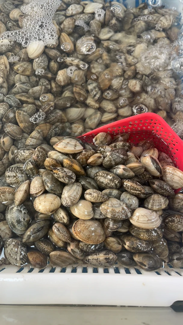 【1斤】鲜活花甲 肉质饱满