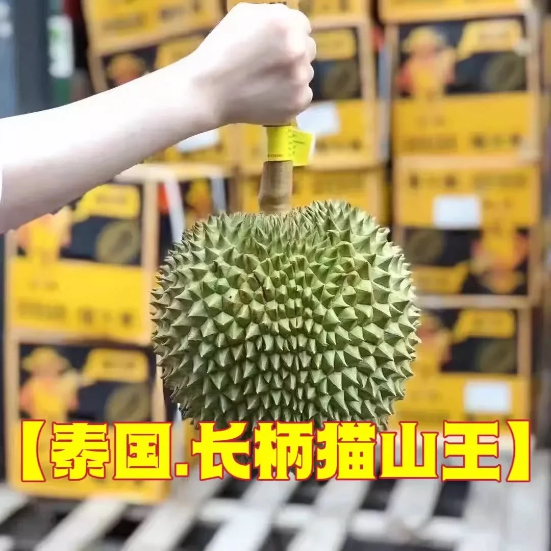 1号称【一物一拍】泰国长柄榴莲鲜果顺丰10%-15%水分蒸发生切不售后