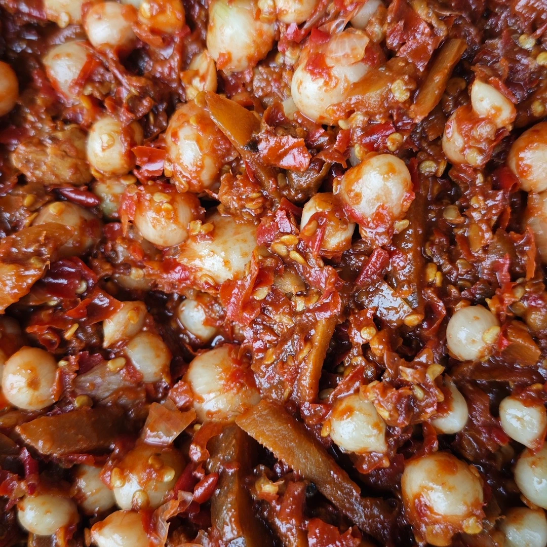 四川传统手工生姜团葱豆瓣酱瓶装500g下饭酱调味酱烧菜火锅