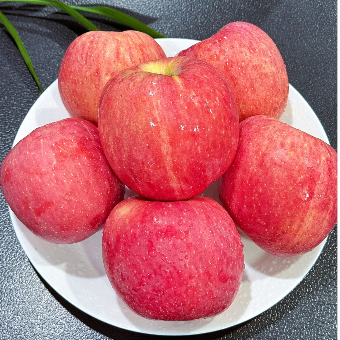 【脆甜清润】专属 榆林山地新产区农家肥高原红富士苹果5/10斤装