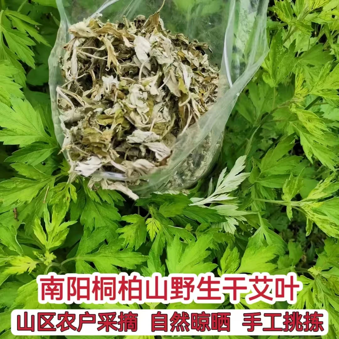 三年陈端午野生干艾叶桐柏山农户采摘泡脚月子家用洗脚足浴陈艾