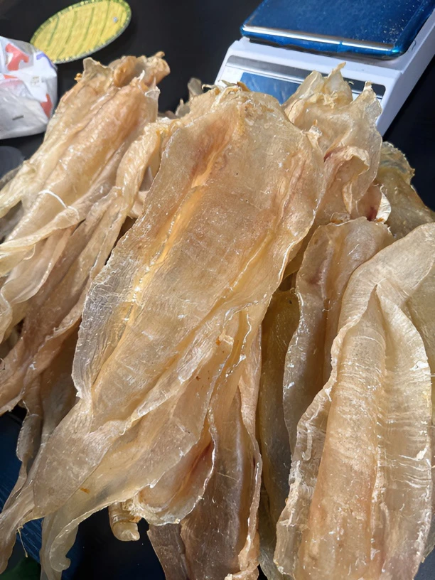 034尖尾鱼胶500克