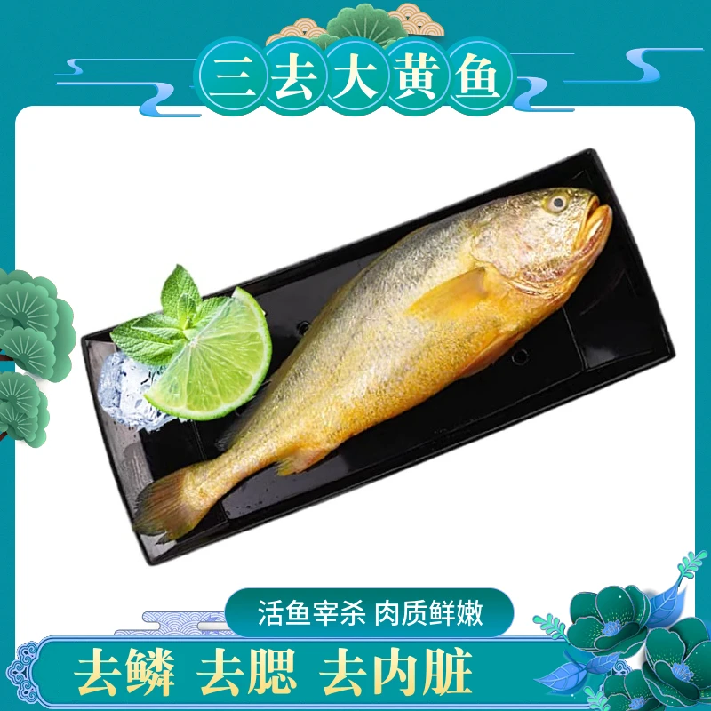 【三去】5条，每条处理完414-464g/条，霞浦新鲜大黄鱼黄花鱼贴心三去