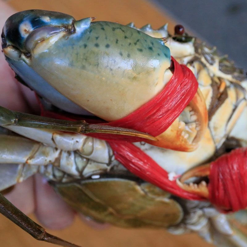 顺丰青蟹鲜活批发整箱红膏蟹肉蟹海鲜螃蟹母蟹包活红膏鲟3-3.5两