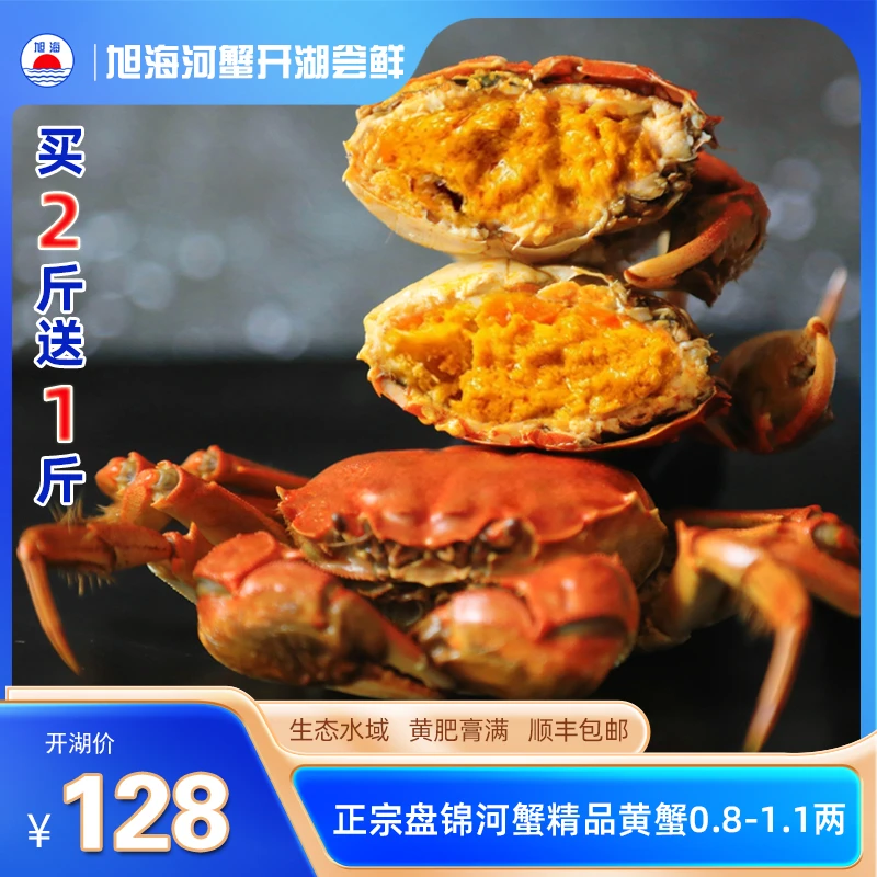 【盘锦河蟹】六月鲜活黄蟹1两 生态水域散养 原产地直发 顺丰包邮
