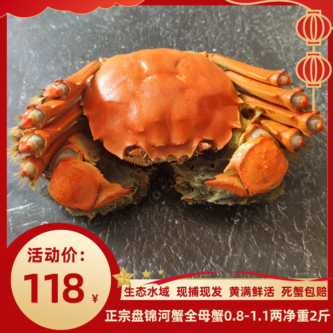 【活蟹】旭海盘锦河蟹全母蟹0.8-1.1两/只 2斤装原产地直发顺丰包邮