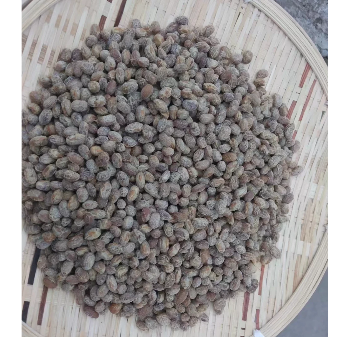 高山农家特色干蔬菜干豆豉