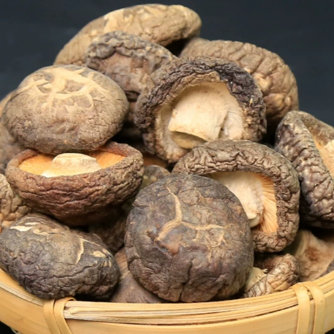 高山农家特色干蔬菜香菇