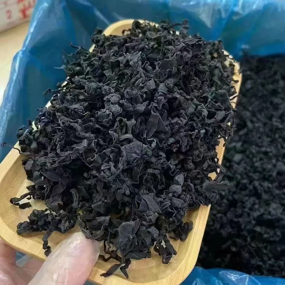 D裙带菜干货  无沙高泡营养儿童婴儿辅食正品正宗裙带菜250g/500g