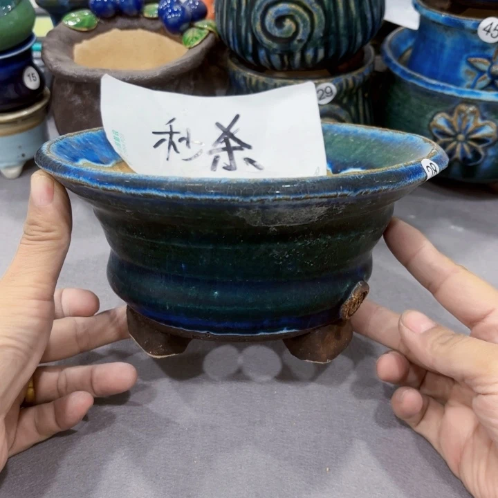 红陶内口17.5高10