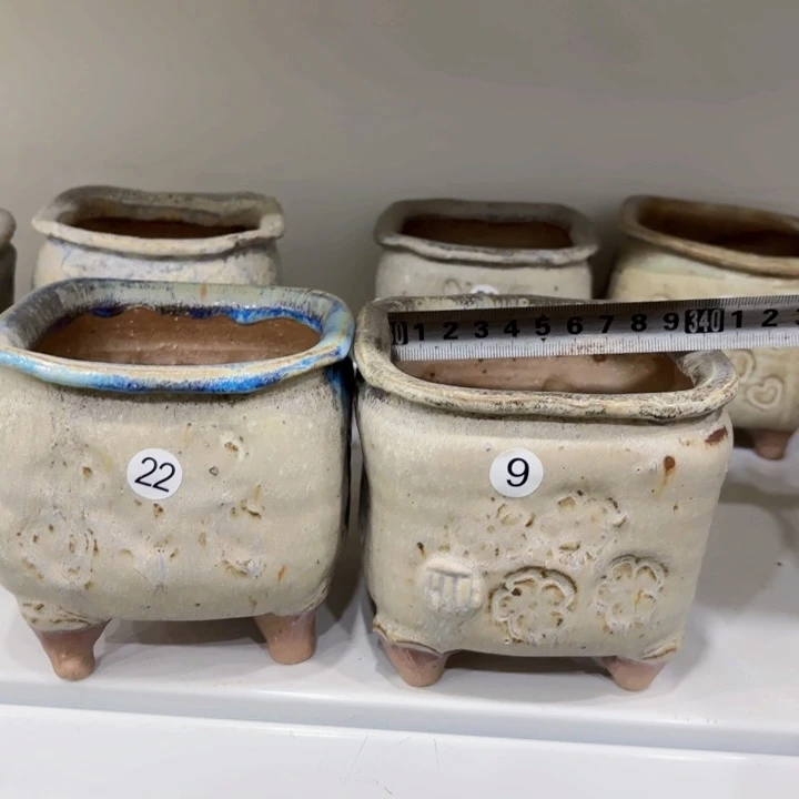 红陶20CM（含）-50CM（不含）