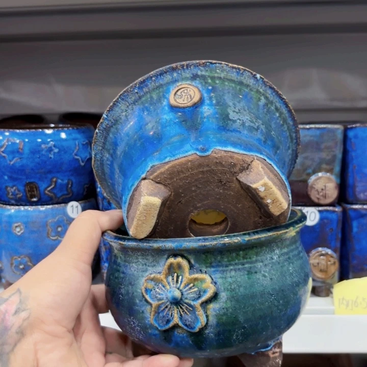 红陶20CM（含）-50CM（不含）胖*妞