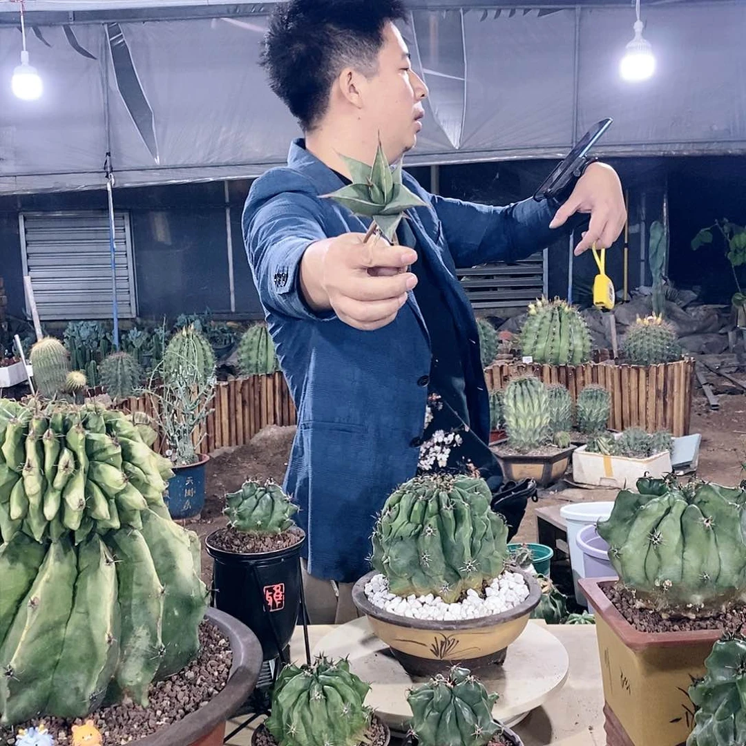 步行者下播福利222222