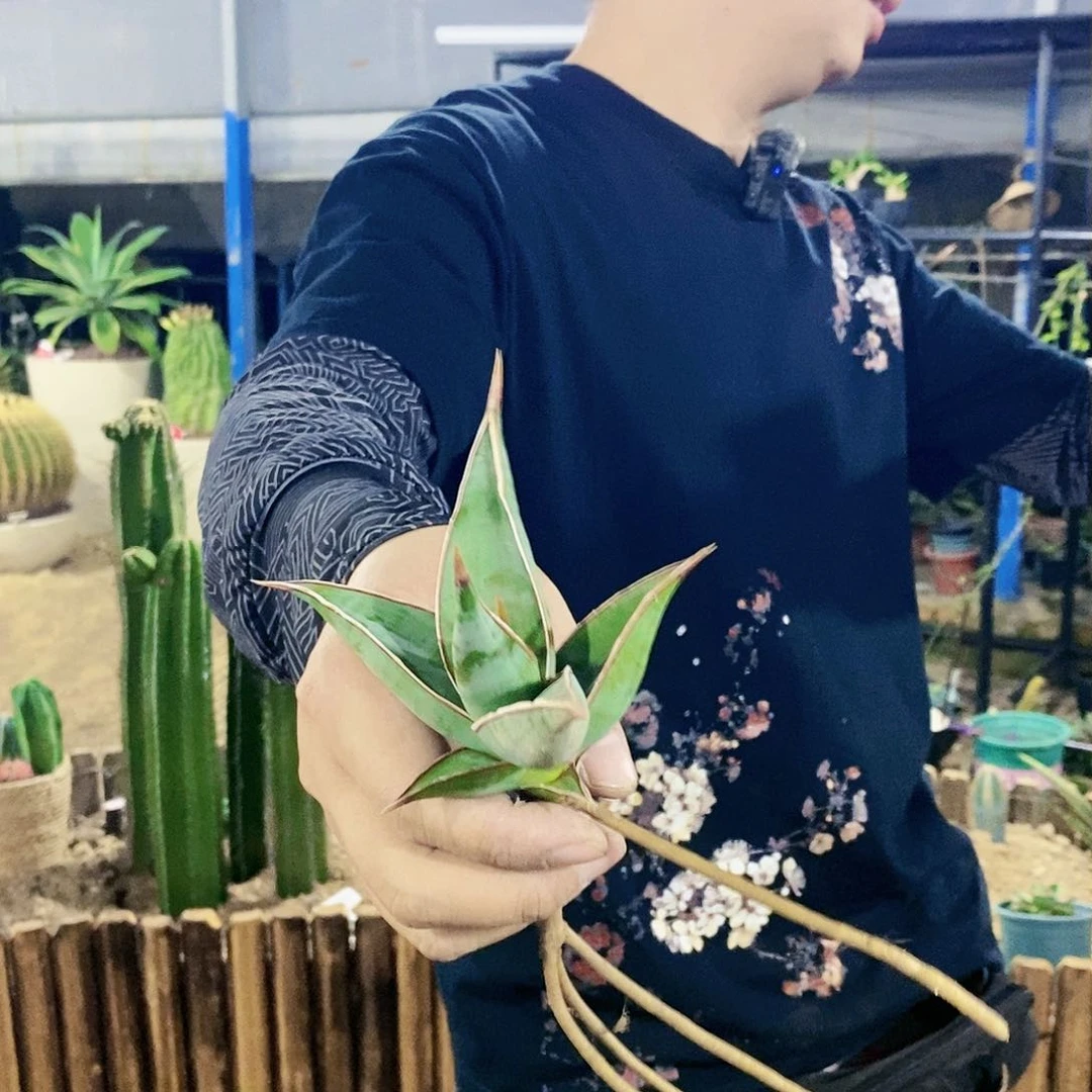 快**贝7568wwwwwwwww