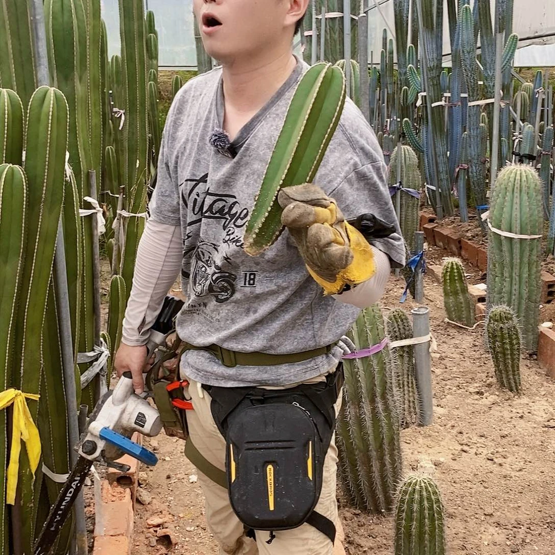 白云阁30分无根22222