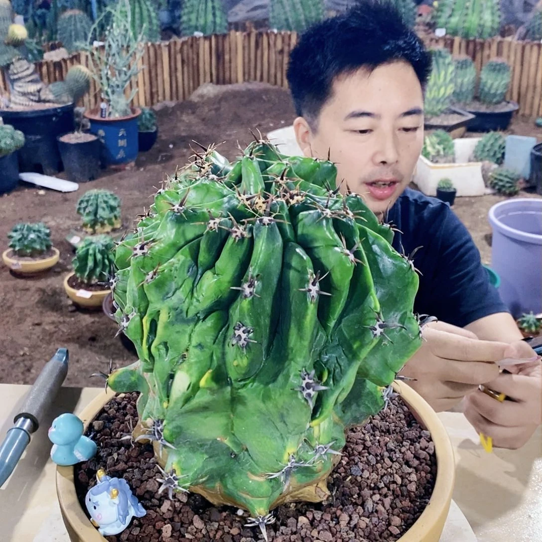 多*多8806wwweeeeeeeer