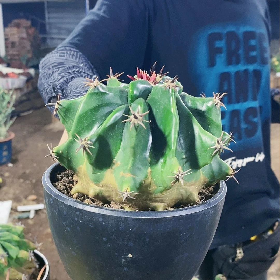 平**生6989w w w w w w w w w