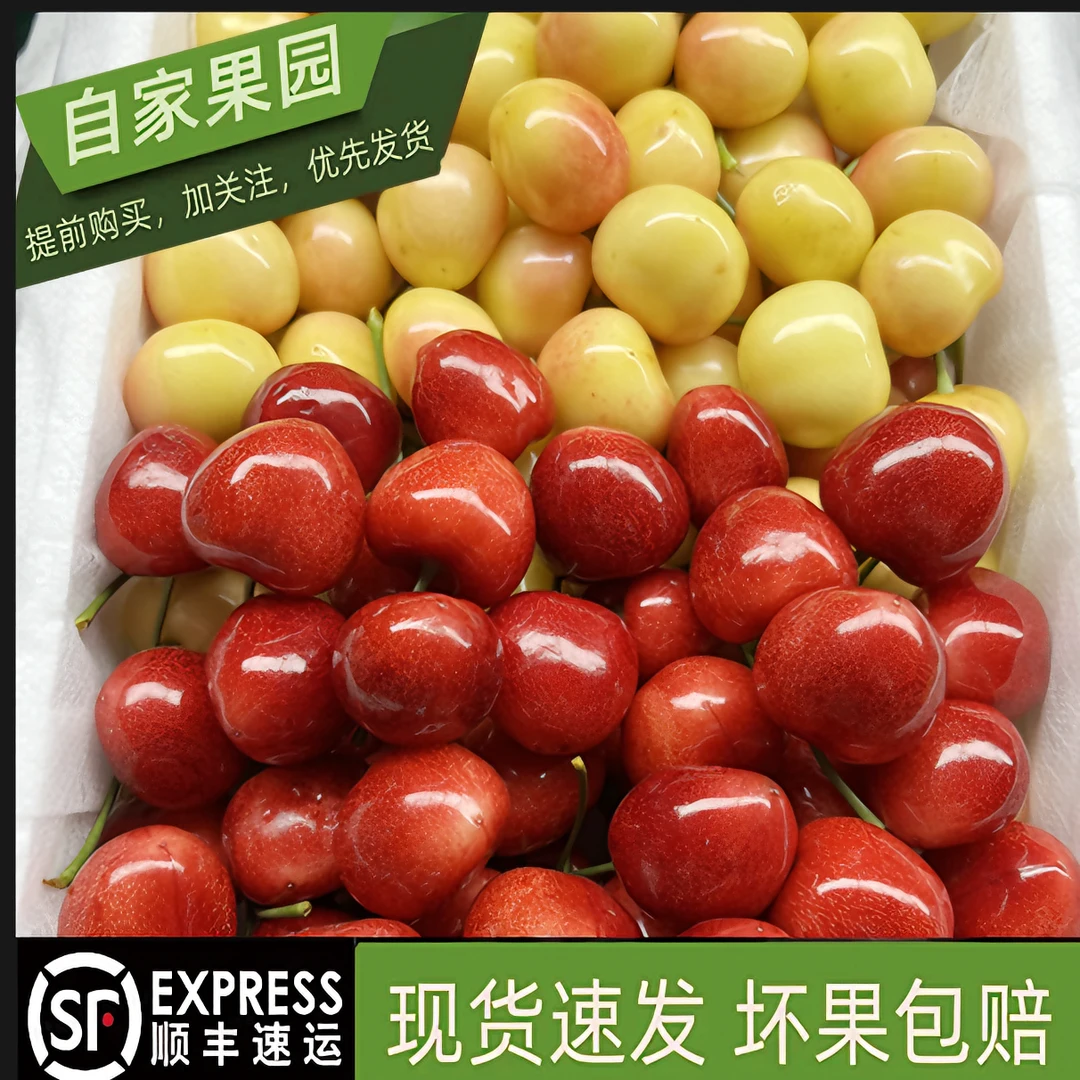 大连陆地冰库美国红樱桃双拼顺丰包邮【3~5斤】新鲜采摘果经26mm起
