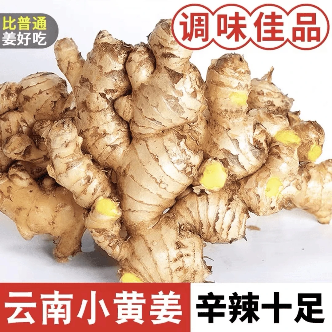 【出口品质】云南小黄姜生姜种批发姜新鲜老姜小黄姜0.5/2/3/5斤