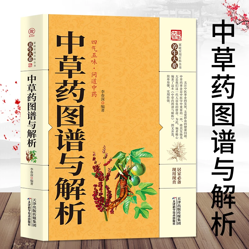 中草药图谱与解析中药学 常见病中草药图谱书籍家庭养生书