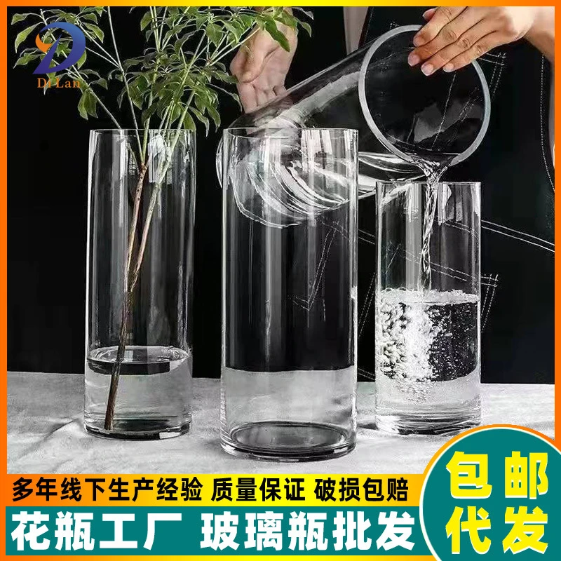 玻璃花瓶透明插花水养马醉木水培富贵竹直筒客厅摆件ins风高级感