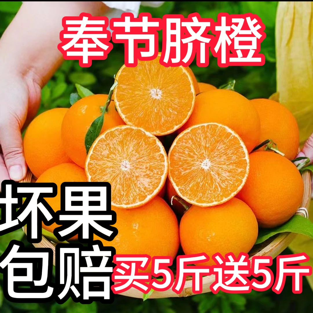 【寒冷地区专拍 保温箱+保温带 】 正宗奉节脐橙鲜橙应季水果