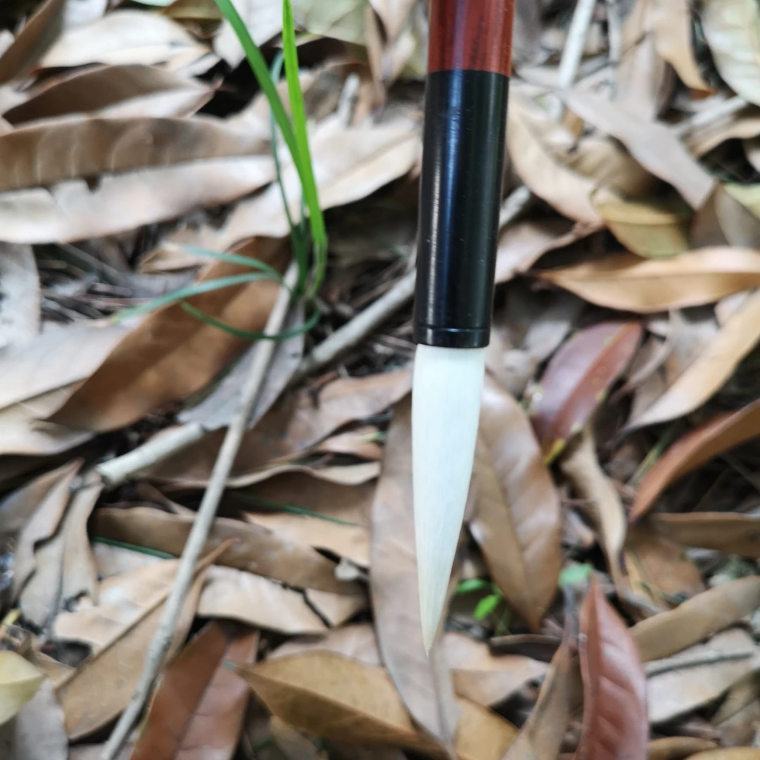 双羊牌善琏湖笔厂仿古玉兰蕊50纯羊毫细光锋毛笔软毫毛笔0.95*4.6