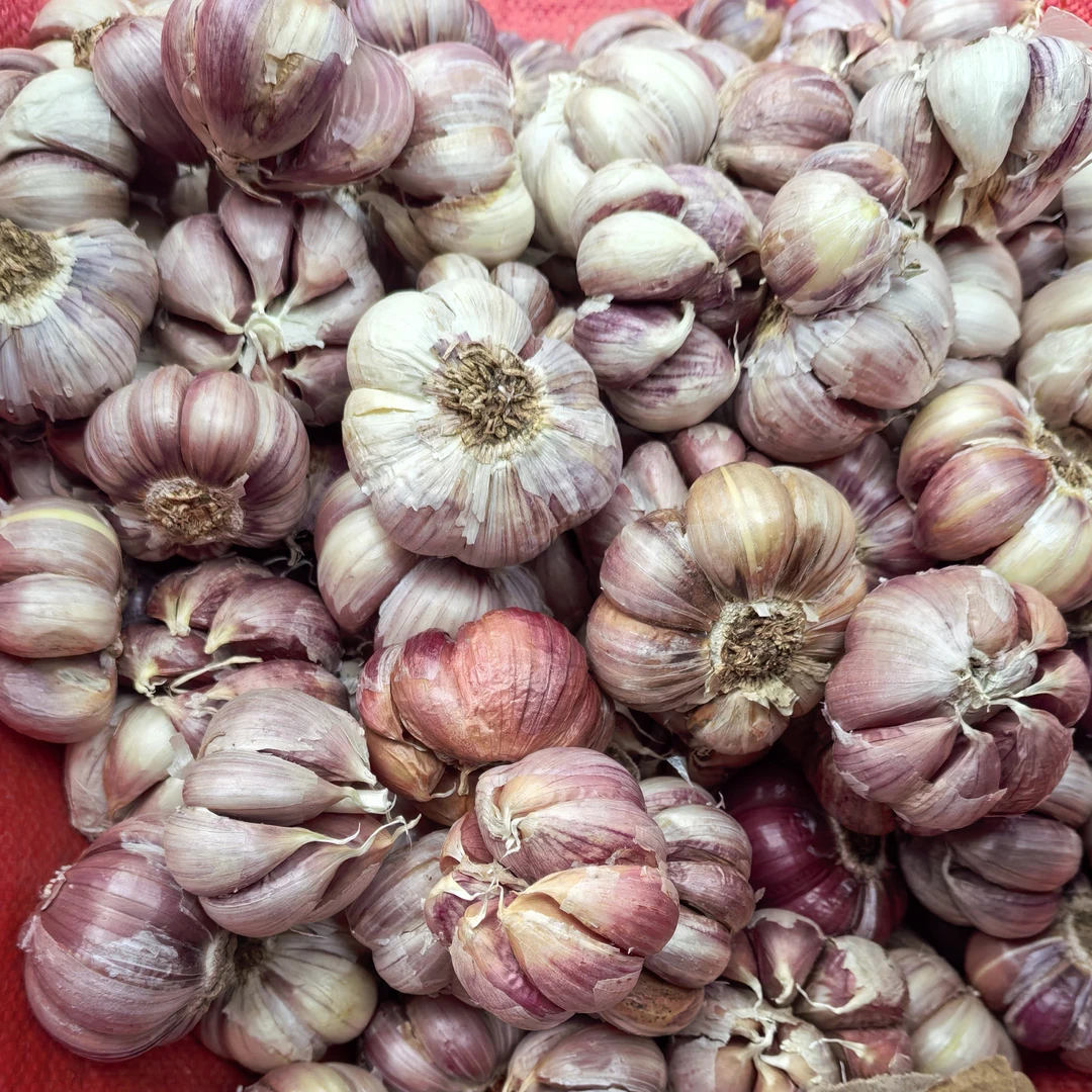 贵州红蒜大蒜香蒜农家可食用