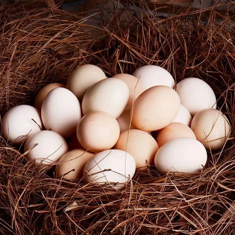 【小刘山货】云南中缅边境土货=鸡蛋