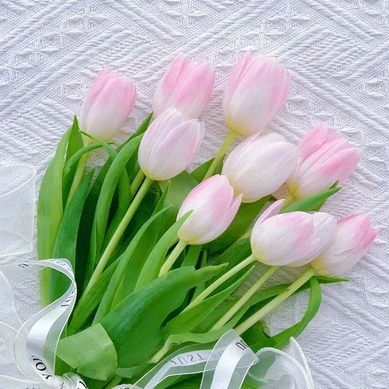 【进口王朝粉】浅粉色郁金香鲜花水养水培郁金香顺丰冷链包邮