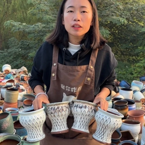 红陶20CM以下正品高15口12